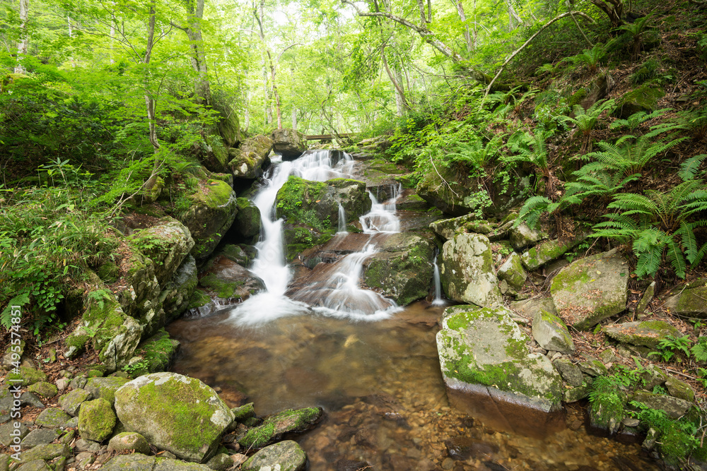 宇津江四十八滝の魚返滝