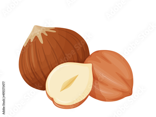 Hazelnut. Nuts in shell. Healthy and vegetarian foosd. photo