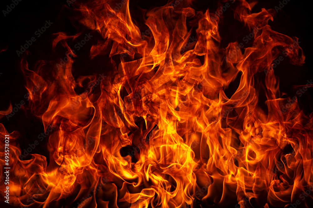 Blaze burning fire flame on art texture background. Stock Photo | Adobe  Stock