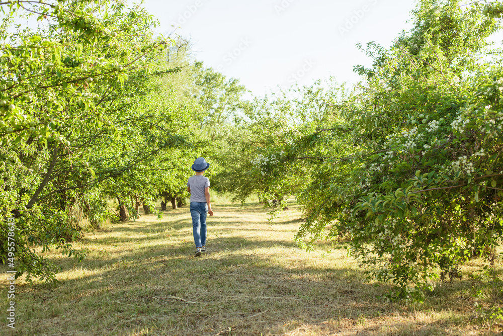 A cheerful kid in jeans, a T-shirt and a blue hat is playing in the garden among the apple trees.