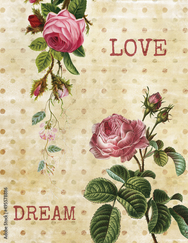 Vintage background with roses photo