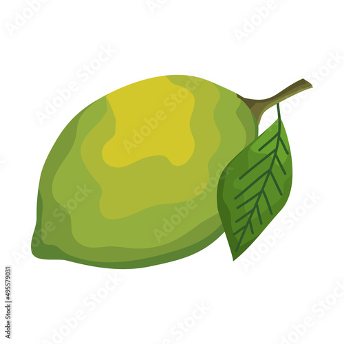 lemon fresh fruit