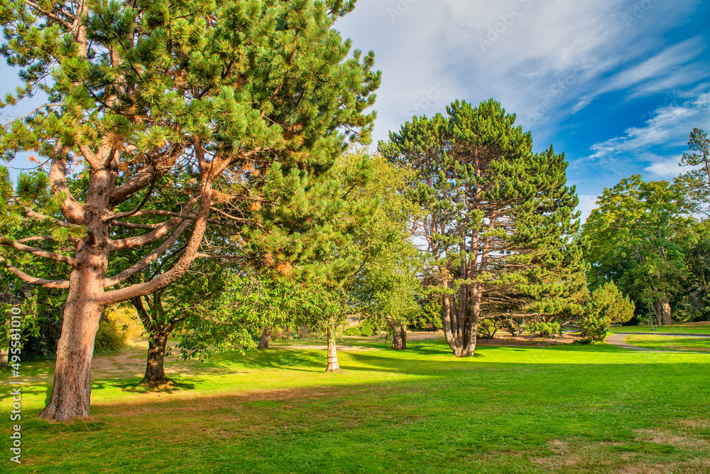 Beautiful summer colors of Beacon Hill Park in Victoria, Vancouver Island Beautiful summer colors of Beacon Hill Park in Victoria, Vancouver Island