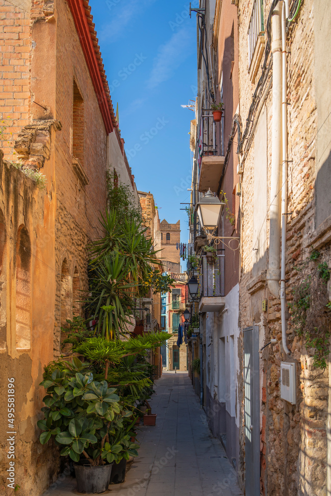 Small street with flowers in the old town of Tortosa, Catalonia, Tarragona