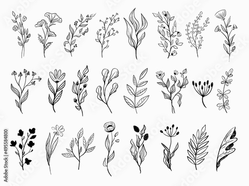 Outline flowers vector set sketch line plants
