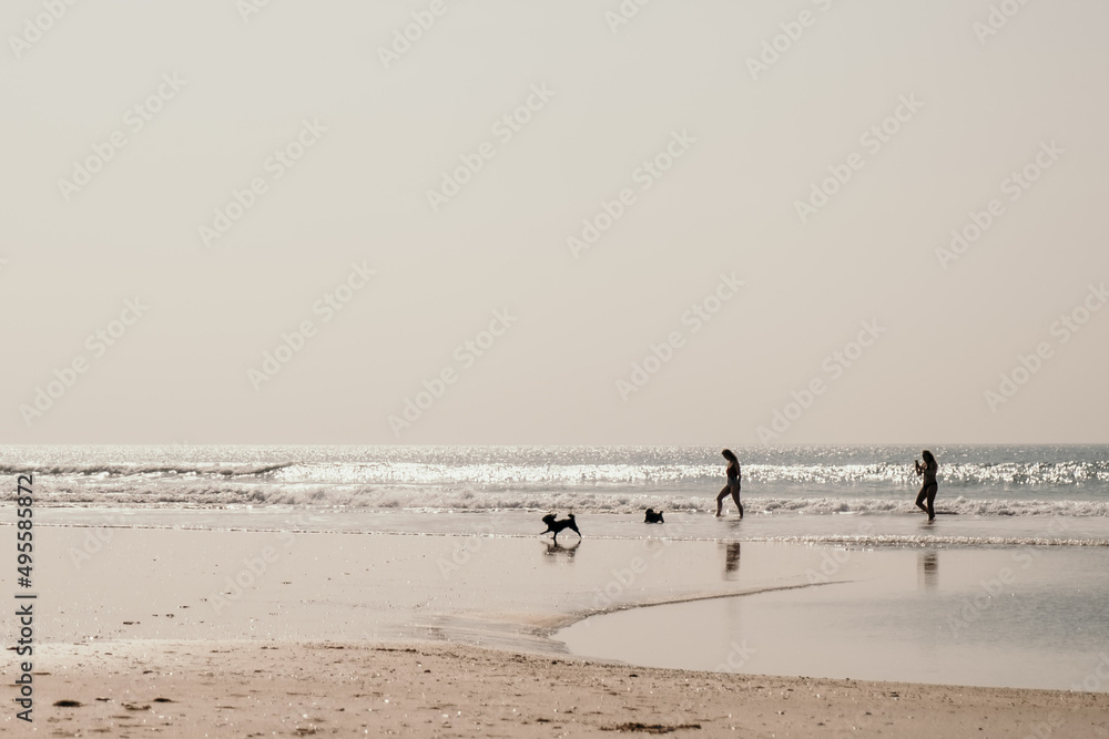 people walking on the beach with dogs