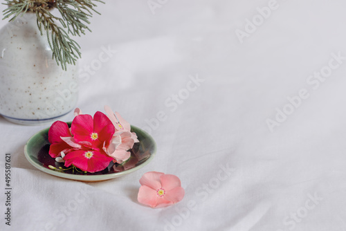 Fototapeta Naklejka Na Ścianę i Meble -  Composition of dainty periwinkle flowers in a bright white background showing fresh and tranquil Spring aesthetic