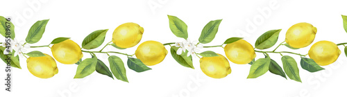 Seamless border with lemon fruits, citrus flowers, and branches. Hand drawn watercolor images