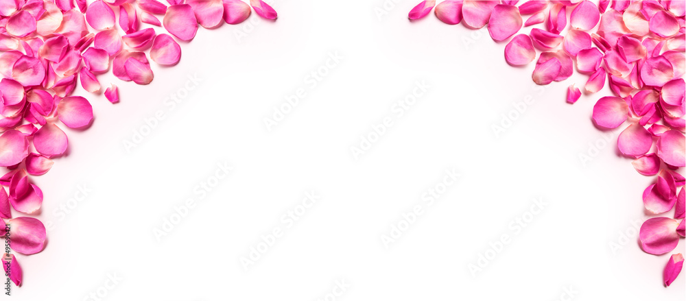Pink rose petals banner