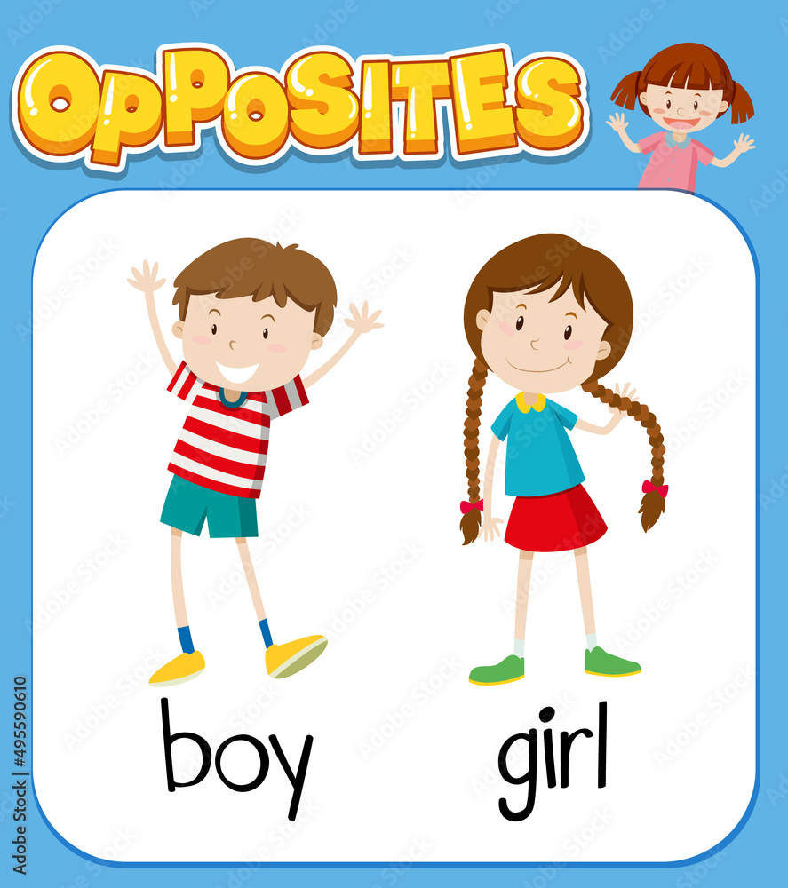 Opposite words for boy and girl Opposite words for boy and girl