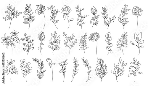 Line Drawing Flowers Set Black Sketch Isolaned on White Background. Botanical Line Art of Wildflower Floral Drawing for Minimalist Wall Decor, Wall Art, Prints, Invitations. Vector EPS 10