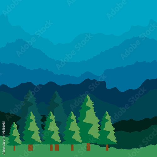 pines trees night landscape
