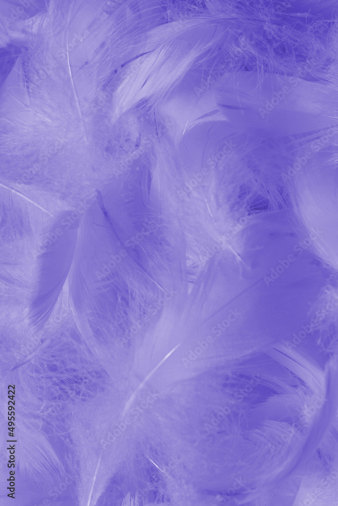 Colorful feather background, top view. Colorful feather background, top view.