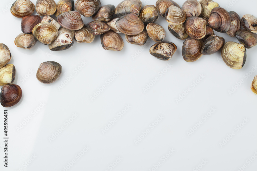 Clams, clams, fish and shellfish, seafood, cooking, food ingredients