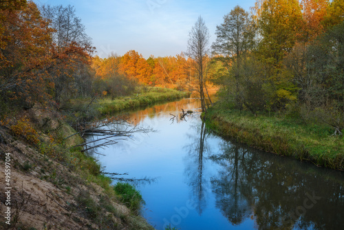 Landscape with forest river in autumn day