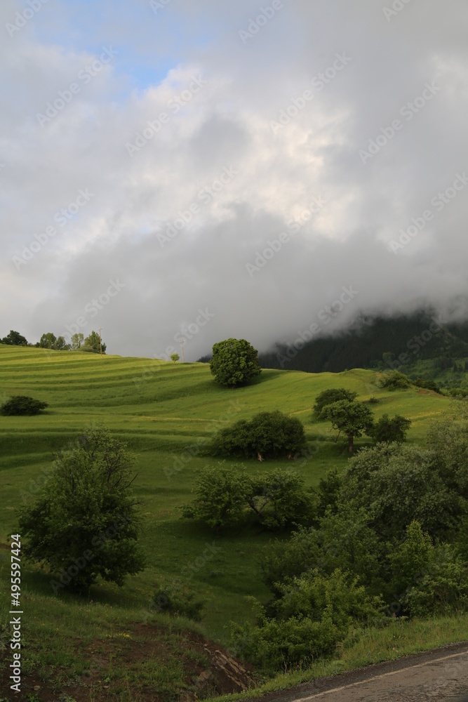 Fototapeta premium mountains and villages surrounded by green forests.turkey