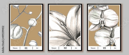 Set of botanical posters, prints, covers, wall art paintings. Watercolor lily, orchids. Monochrome color palette.