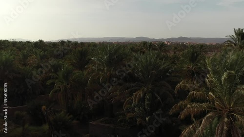 Aerial forward ascendent over palm trees with Zagora city in background. Morocco photo