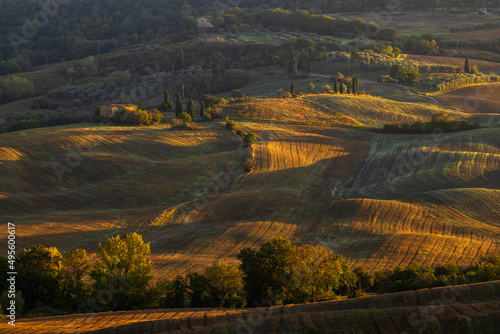 Typical Tuscan morning autumn landscape, Val D'Orcia, Tuscany, Italy