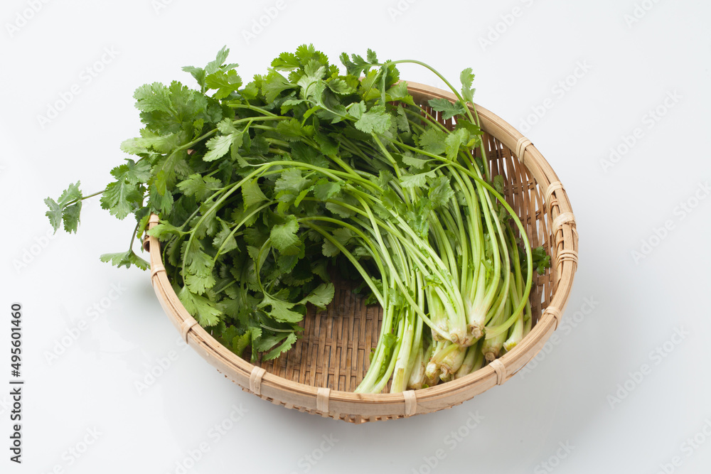 Food ingredients, coriander, Southeast Asian spices, spices, spices, cilantro leaves, Food ingredients, coriander, Southeast Asian spices, spices, spices, cilantro leaves,