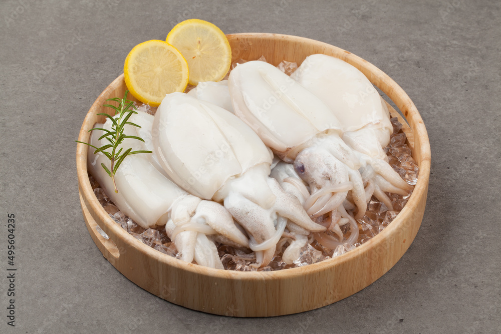 Squid, squid, seafood, seafood, food, food, ingredients, fish market, cooking. Squid, squid, seafood, seafood, food, food, ingredients, fish market, cooking.