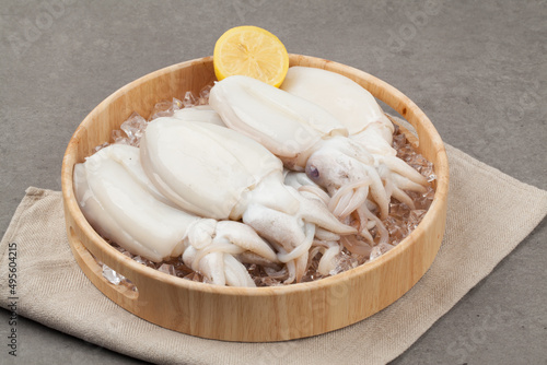 Squid  squid  seafood  seafood  food  food  ingredients  fish market  cooking.