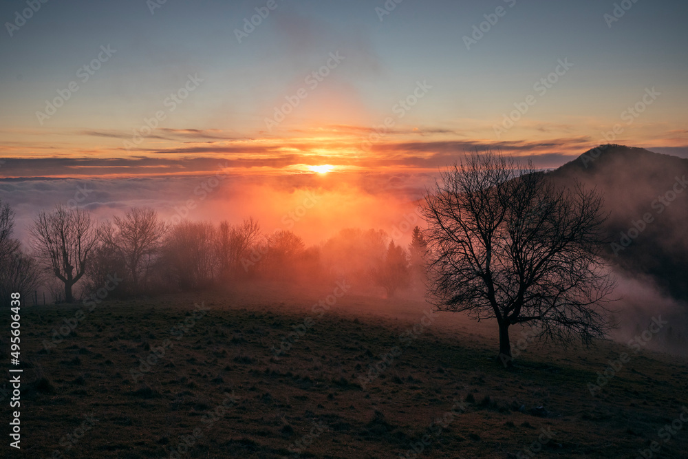 sunset in the mountains with tree silhouette sunset in the mountains with tree silhouette