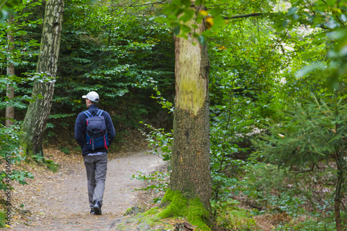 Wald bewundern - Sächsische Schweiz