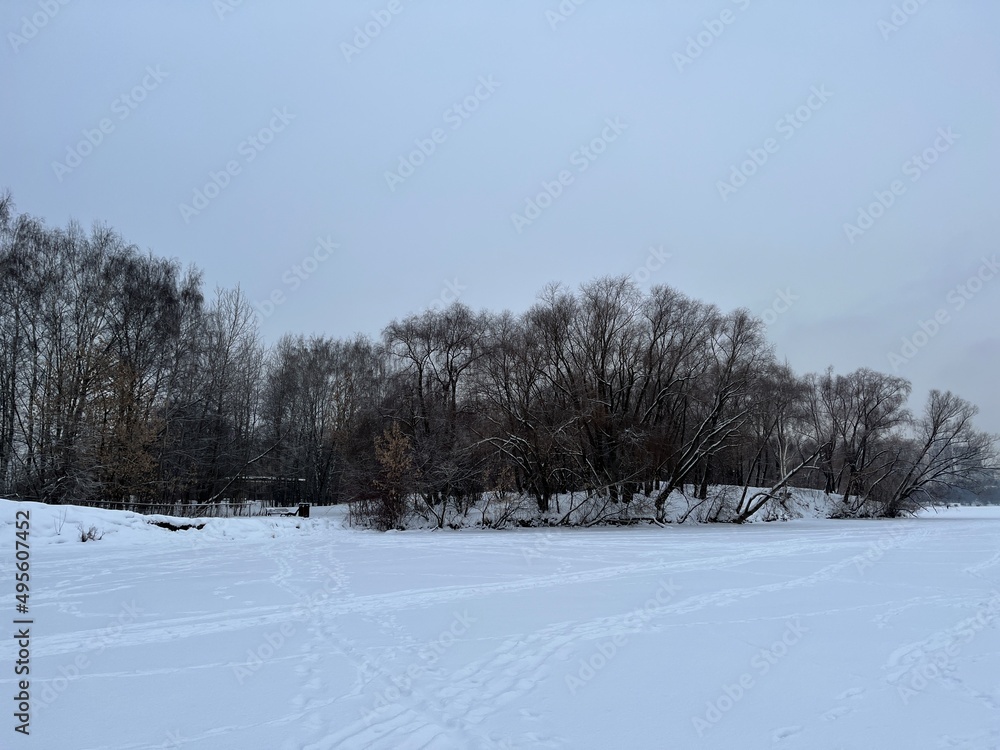Fototapeta premium Landscape of the winter Moscow parks. A lot of snow in Strogino park, Moscow. Russia. Russian capital