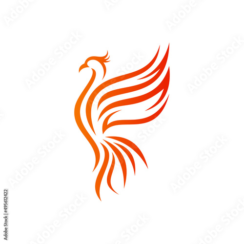 Fire bird phoenix logo design, falcon, eagle, hawk and wing
