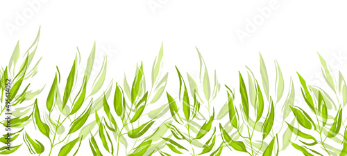 Floral web banner with drawn color exotic leaves. Nature concept design. Modern floral compositions with summer branches. Vector illustration on the theme of ecology, natura, environment