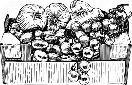 Cassetta di pomodori. Bianco e nero. Disegno vecchio stile vettoriale