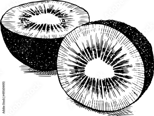 Kiwi tagliato a metà. Disegno vecchio stile vettoriale. bianco e nero.