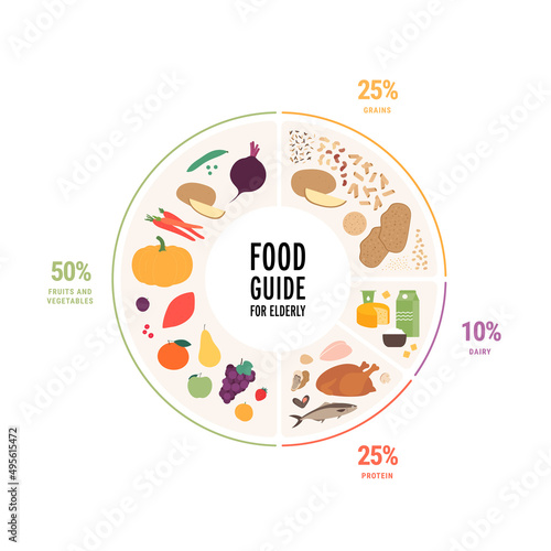 Healthy food plate guide for elder concept. Vector flat illustration. Circle frame infographic chart with recommendation for senior adult diet. Colorful protein, fruit, vegetables, grains and dairy