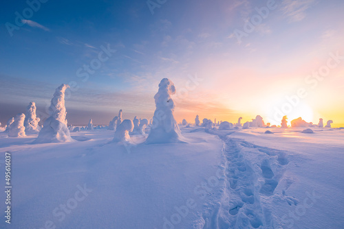 Winter landscape at sunset in Finnish Lapland