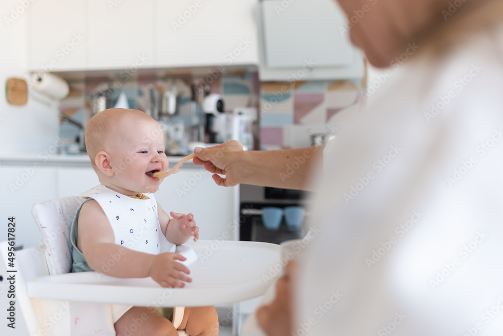 baby's first feeding, mom feeds a baby with a spoon baby's first feeding, mom feeds a baby with a spoon