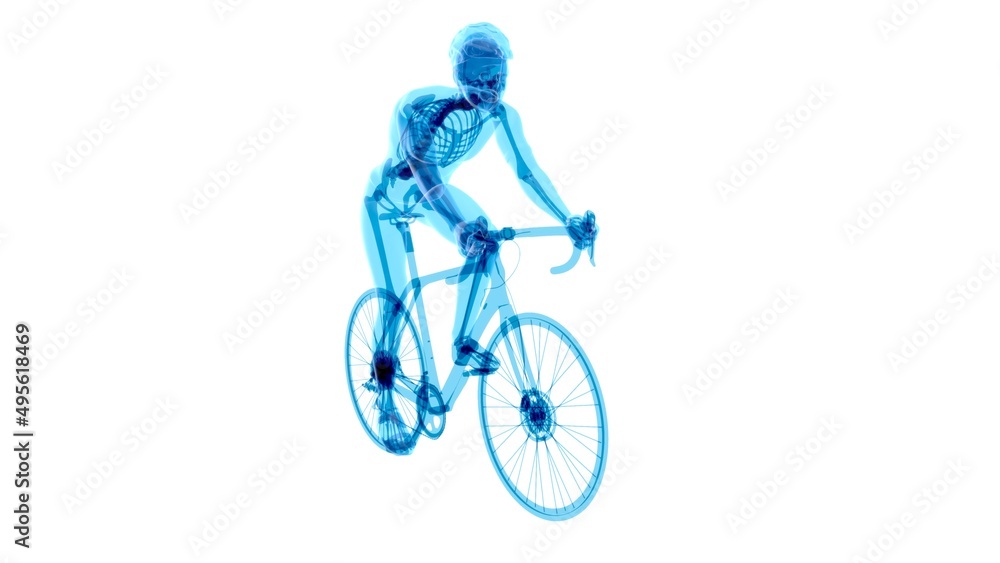 Obraz premium 4K anatomy of a X-ray cyclist riding