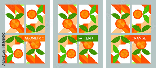 Geometric pattern orange seamless background. Banner organic orange in flat style. Great for flyer advertising natural products cover design. Set ector illustration.