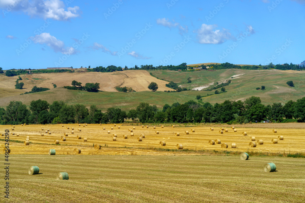 Rural landscape along the Cassia near Acquapendente, Lazio