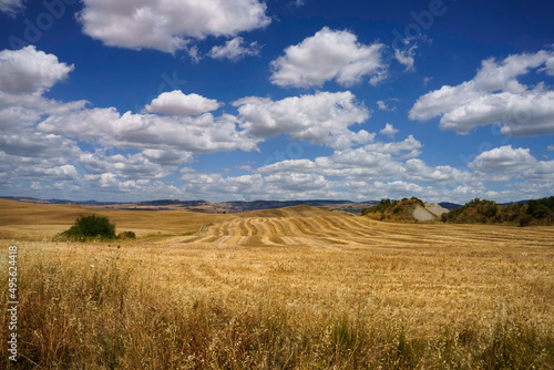 Rural landscape along the Cassia near Radicofani  Tuscany