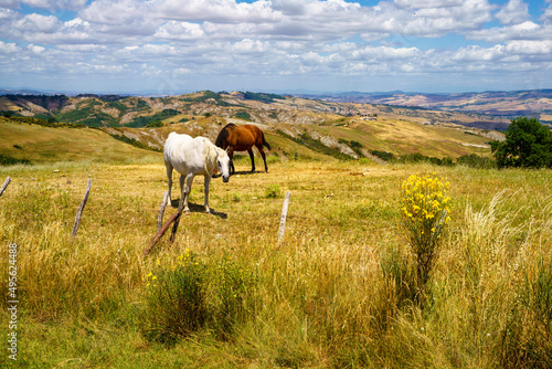 Rural landscape along the Cassia near Radicofani  Tuscany