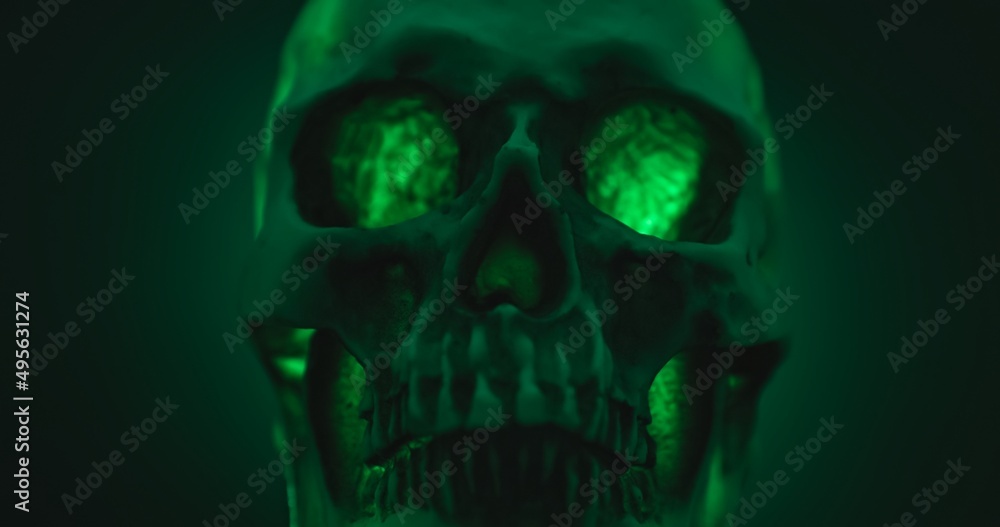 Skull with colored lighting loop closeup Skull with colored lighting loop closeup