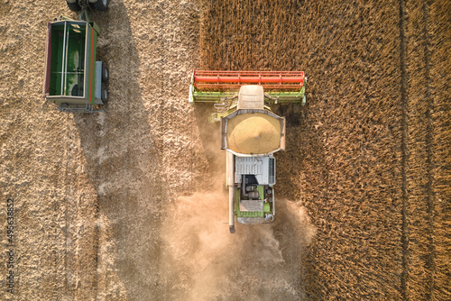 Aerial view of combine harvester and cargo trailer working during harvesting season on large ripe wheat field. Agriculture and transportation of raw grain concept