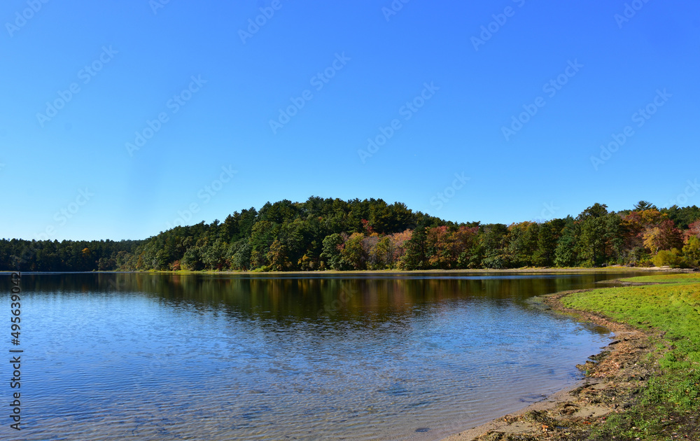 Fall Foliage on Trees Surrounding a Lake in New England