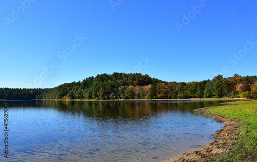 Fall Foliage on Trees Surrounding a Lake in New England