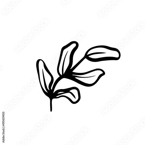Cute floral spring pattern in doodle style. Fancy garden flower, plants, leaves, botanical, vector design for fashion, fabric, wallpaper and all hand prints. trendy floral pattern vector