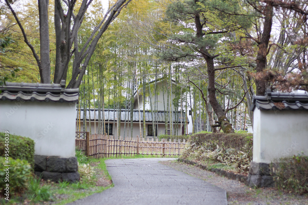 竹林と木が美しい忍城の歩道 竹林と木が美しい忍城の歩道