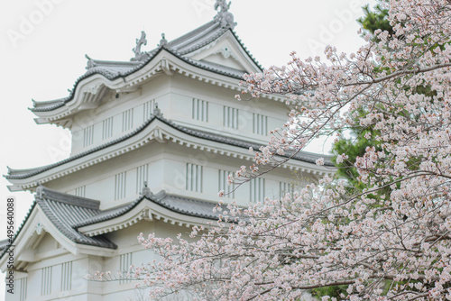 桜と日本の城