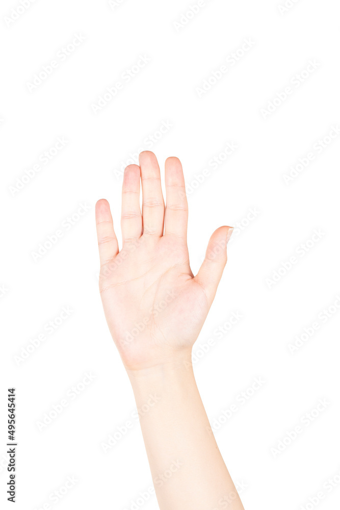 Female Hand is Making Number Five Sign on White Background Female Hand is Making Number Five Sign on White Background