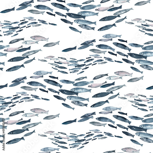 Photography Seamless pattern hand painted in watercolor ocean fish isolated on white background